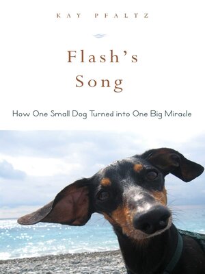 Flash's Song: How One Small Dog Turned into One Big Miracle - ebook
